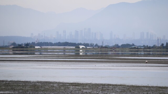 View looking over Boundary Bay at Centennial Beach View looking over Boundary Bay at Centennial Beach