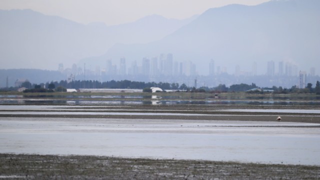 View looking over Boundary Bay at Centennial Beach View looking over Boundary Bay at Centennial Beach