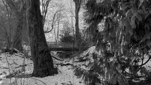 Wooden bridge at Lower Hume Park, winter