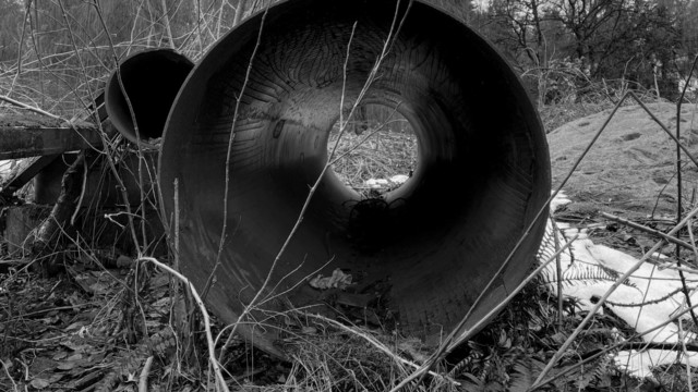 Old pipe among scrap near the Brunette River