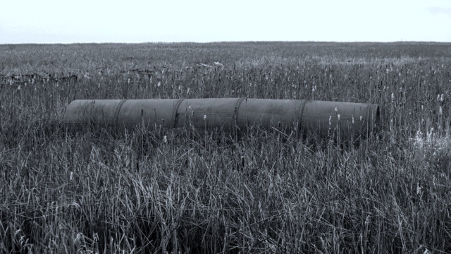 Rusted pipe in marshland, Reifel Bird Sanctuary, aka Rusty