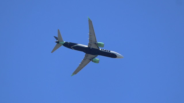 Metallic bird. Strangely, the advertising on its belly didn't survive post. Metallic bird. Strangely, the advertising on its belly didn't survive post.