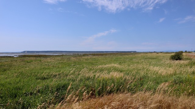 View looking from the dyke trail toward Boundary Bay View looking from the dyke trail toward Boundary Bay