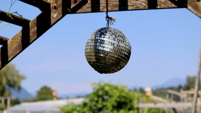 Disco in the community garden Disco in the community garden