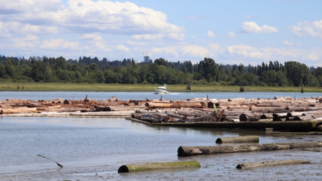 Log booms and boat on the Fraser River