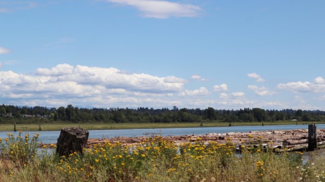 View of the Fraser River from Iona Beach