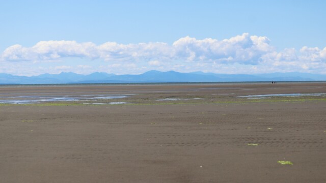 Extremely low tide