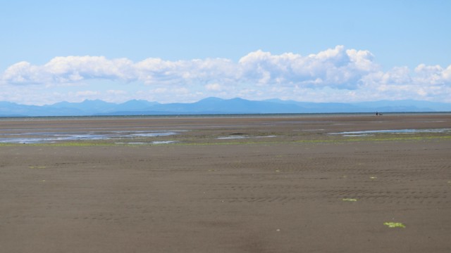 Extremely low tide