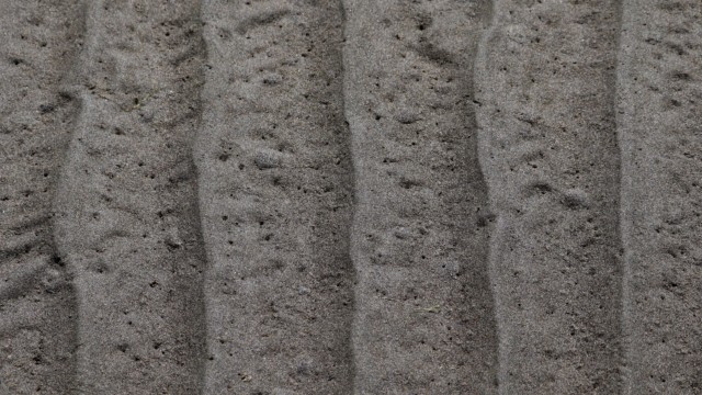 Ridges in the sand at low tide