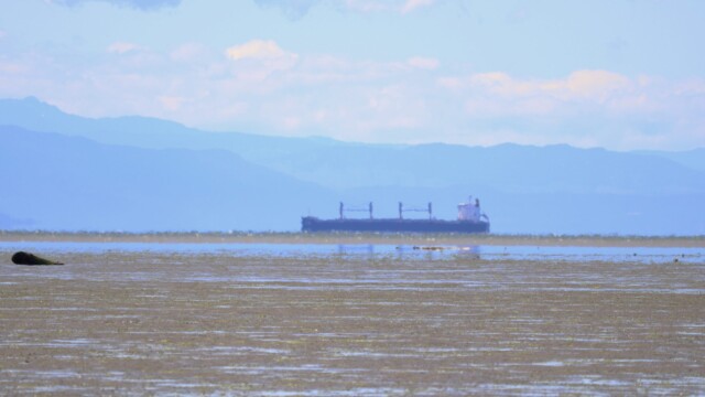 Distant freighter in the heat haze