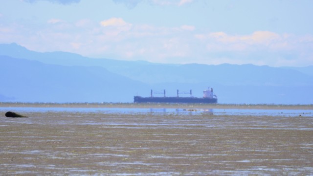 Distant freighter in the heat haze