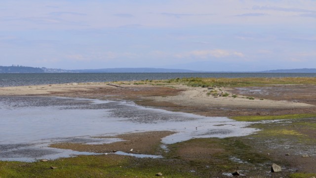 View of Centennial Beach with tide incoming