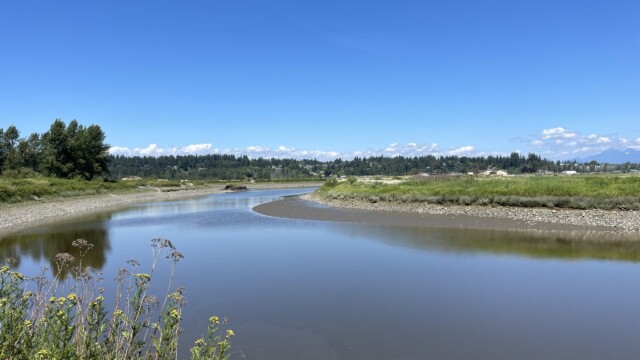 Serpentine Fen, shot on iPhone 12. Serpentine Fen, shot on iPhone 12.