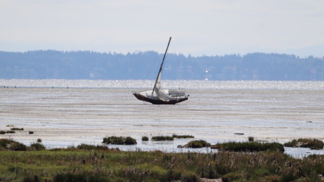 What happens when you go sailing and forget about the extremely low tide Sailboat beached in extreme low tide