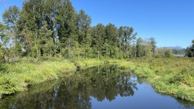 Still Creek, looking west. Still Creek, looking west.