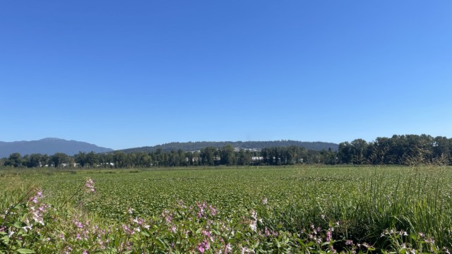 View of the lake looking north. There is actual water out there. View of the lake looking north. There is actual water out there.