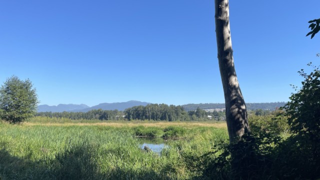 Pond on the Southshore Trail. Pond on the Southshore Trail.