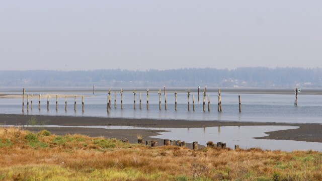 Piling it on. Piling it on.