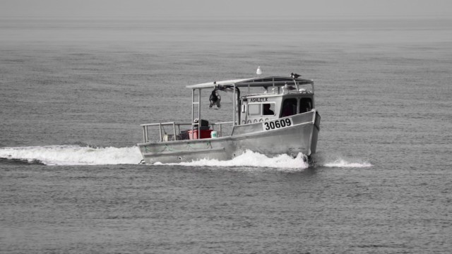 Boat, but now black and white, save for a daring splash of colour. But is it art? Boat, but now black and white, save for a daring splash of colour. But is it art?