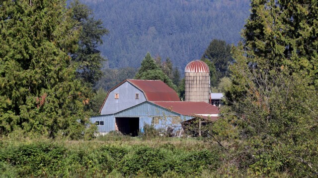 Barn framed in green, near the Alouette River, Pitt Meadows.