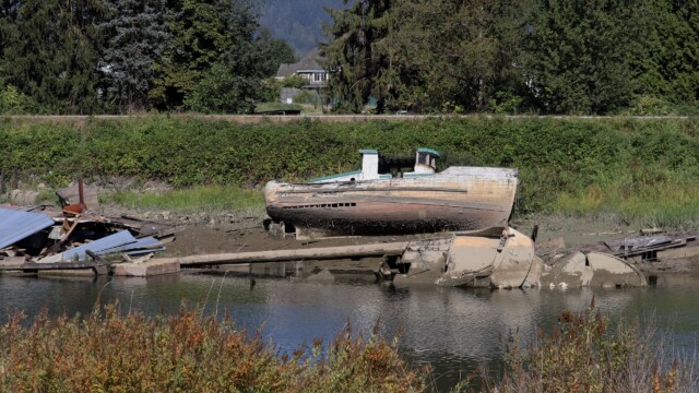 The Alouette River is also unfortunately a bit of a dumping ground in spots for abandoned boats.