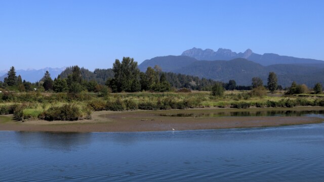 Alouette River, Pitt Meadows.