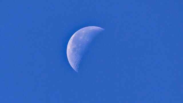 The moon over Reifel Moon over Reifel