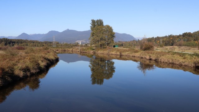 Coquitlam River Coquitlam River