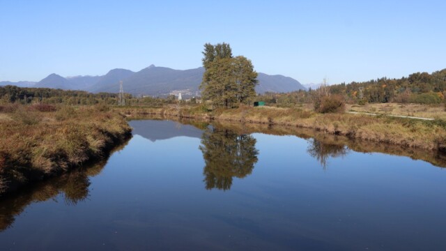 Coquitlam River Coquitlam River