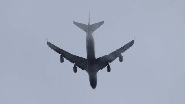 Fixed-wing bird flying through the mist Fixed-wing bird flying through the mist