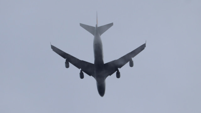 Fixed-wing bird flying through the mist Fixed-wing bird flying through the mist