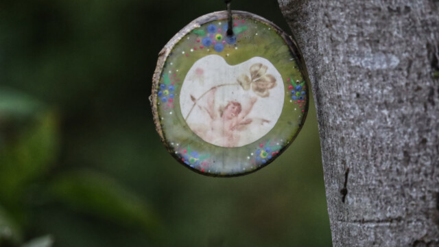 Pendant hanging in a tree Pendant hanging in a tree