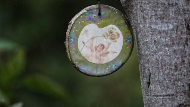 Pendant hanging in a tree Pendant hanging in a tree
