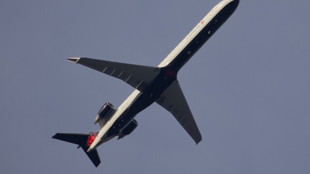 Fixed-wing bird flying over the Richmond Nature House Fixed-wing bird flying over the Richmond Nature House