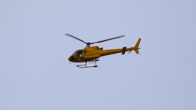 Yellow whirlybird