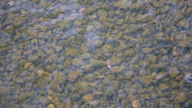 Smooth stones and reflections in Eagle Creek