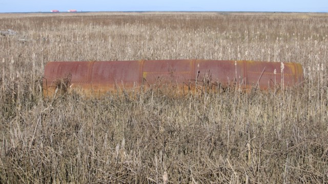 Rusty the pipe, off the West Dyle Trail at Reifel Bird Sanctuary