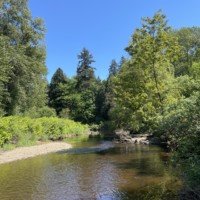 Brunette River, looking east