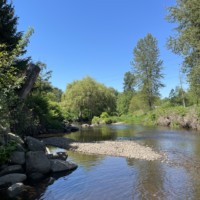 Brunette River, looking west