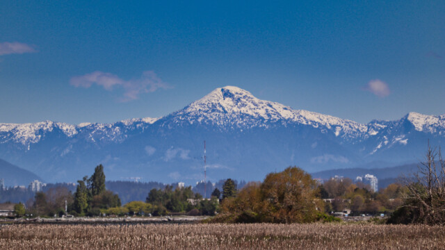Coastal mountain seen from the West Dykle Trail at Reifel Bird Sanctuary.