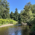 Brunette River, looking east.