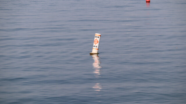 Swim area, with bonus ball