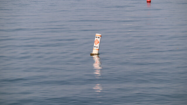 Swim area, with bonus ball