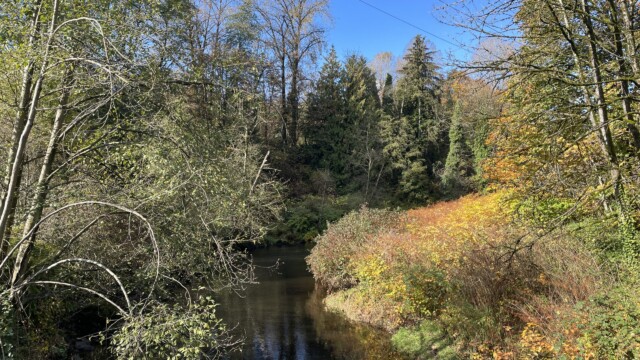 View of the river three days before, October 16.