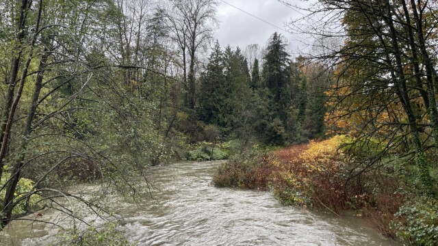 View of the river, October 19th.