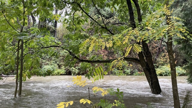 The Brunette River breaching its banks.
