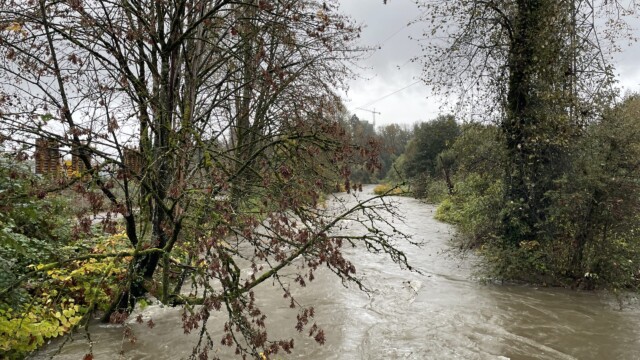 View of the river, October 19th.
