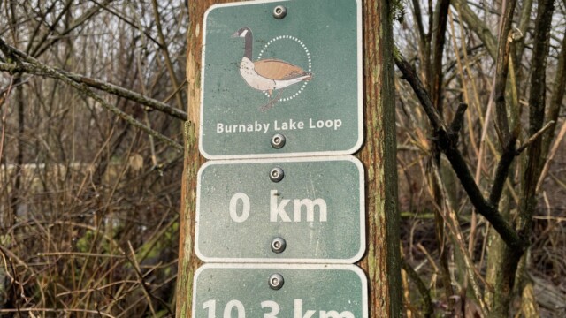 0 km (and 10.3 km) marker at Burnaby Lake, in the sun