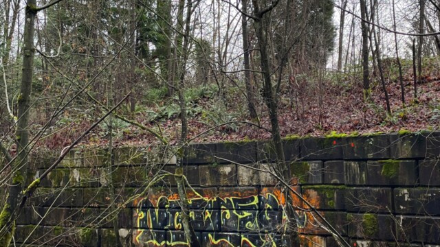 Graffiti by the river