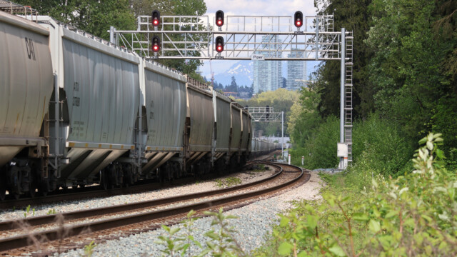 The super-long train we inevitably got trapped behind as we left Burnaby Lake.